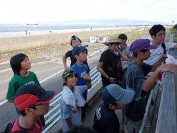 大阪南港海釣り公園　アジ1000匹サッパ800匹！