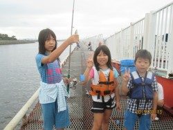 尼崎市魚つり公園　サビキでアジ・サッパ・サバ好調