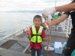 尼崎市立魚つり公園 投稿