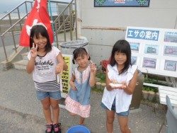 大阪南港海釣り公園 釣果はアジ中心