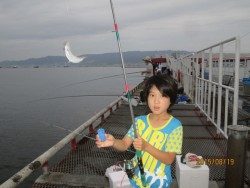 尼崎市立魚つり公園　サビキでチヌも