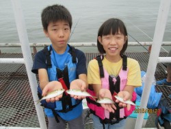 尼崎市立魚つり公園 投稿