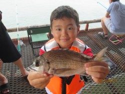 尼崎市立魚つり公園 投稿