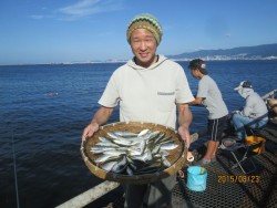 尼崎市魚つり公園　サビキでイワシ・サッパ・…