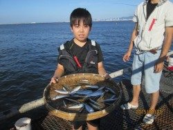 尼崎市魚つり公園　サビキでイワシ・サッパ・アジなど好調