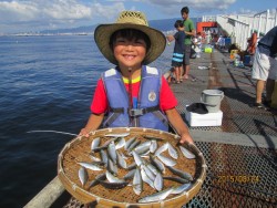 尼崎市立魚つり公園　サビキで数釣り