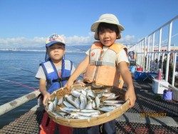 尼崎市立魚つり公園　サビキでサッパ他