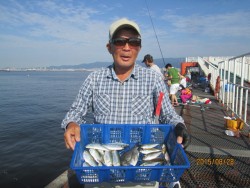 尼崎市立魚つり公園　今日もサビキ好調です