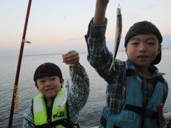 尼崎市立魚つり公園 今日もサビキ好調です