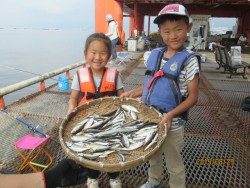 尼崎市立魚つり公園、サッパとイワシは午前中