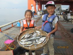 尼崎市立魚つり公園、サッパとイワシは午前中…