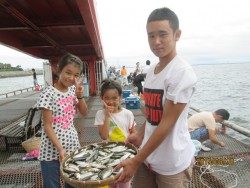 今日もサッパ★尼崎市立魚つり公園