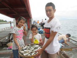今日もサッパ★尼崎市立魚つり公園