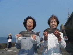 和歌山北港魚つり公園　イサキ２８～３０㎝