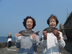 和歌山北港魚つり公園　イサキ２８～３０㎝