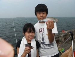 和歌山北港魚つり公園　イサキ釣ったで〜