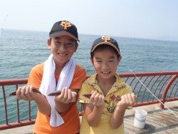 平磯海釣り公園　胴突仕掛でベラ19尾