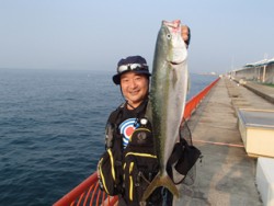 神戸市立平磯海づり公園　メジロ 	68cm…
