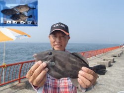 神戸市立平磯海づり公園　良型ウマヅラ 3匹…