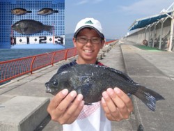 神戸市立平磯海づり公園　ウキ釣りでグレ、メ…