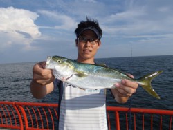 神戸市立平磯海づり公園　ツバス 	39cm…
