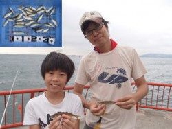平磯海釣り公園　サビキで小アジ31尾