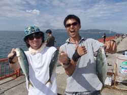 平磯海釣り公園　ルアーでツバス3尾の釣果