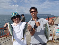 平磯海釣り公園　ルアーでツバス3尾の釣果