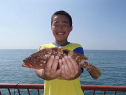 平磯海釣り公園　ノマセでアコウ33cm