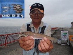 神戸市立平磯海づり公園 投稿