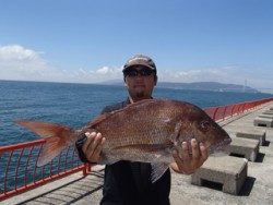 神戸市立平磯海づり公園　マダイ（記録賞）	69cm！
