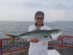 神戸市立平磯海づり公園で大物青物！