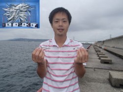 イワシ快釣！神戸市立平磯海づり公園