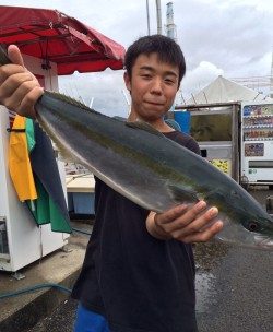 雨の釣り堀、青物にマダイ