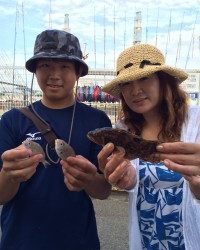 和歌山マリーナシティ海釣り公園　サビキでアコウ他