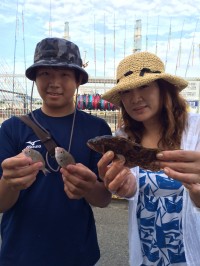 和歌山マリーナシティ海釣り公園　サビキでア…