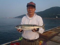 神戸市立須磨海づり公園　サバ48cm！