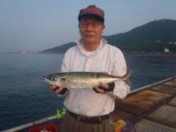 神戸市立須磨海づり公園　サバ48cm！