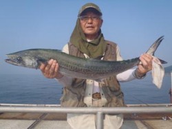 神戸市立須磨海づり公園　サワラ 	82.3…