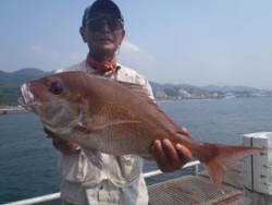神戸市立須磨海づり公園　マダイ 	59.0…