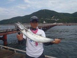 神戸市立須磨海づり公園　サワラ 	80.0cm！