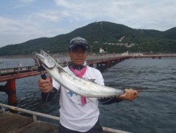 神戸市立須磨海づり公園　サワラ 	80.0…