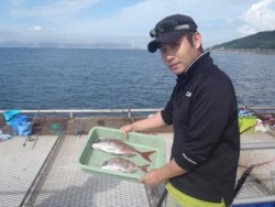 須磨海釣り公園　ウキ流しでマダイ2尾
