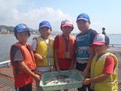 須磨海釣り公園   サビキでアジ＆ガシラ