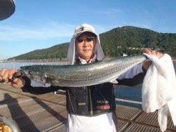 神戸市立須磨海づり公園　連日のサワラ　72cm！