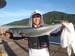 神戸市立須磨海づり公園　連日のサワラ　72…