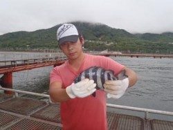 神戸市立須磨海づり公園 投稿