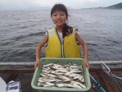 神戸市立須磨海づり公園　サビキでアジ100匹〜！