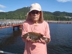須磨海釣り公園　のませでヒラメ37cm
