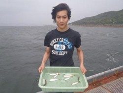 神戸市立須磨海づり公園　サビキでアジ